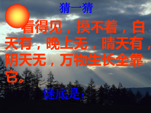 《棉鞋里的阳光》PPT课件