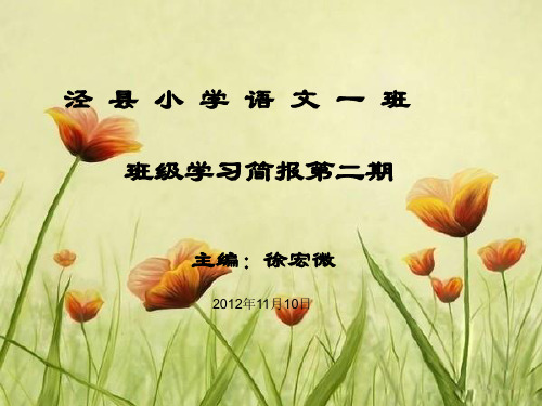泾县小学语文一班班级学习简报二期