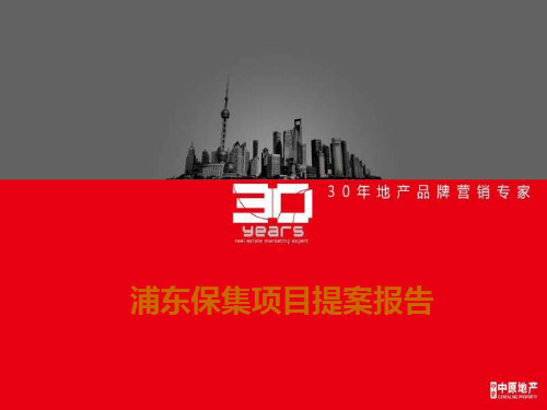 2012年11月15日上海浦东保集项目提案报告