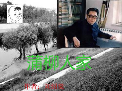 《蒲柳人家》ppt课件(40页)