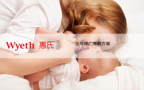 母婴品牌惠氏全年推广营销策略方案