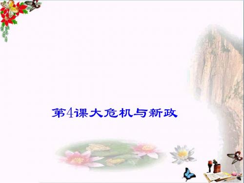 大危机与新政ppt