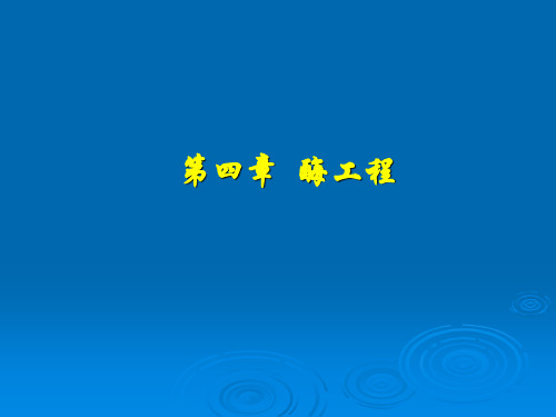 第四章  酶工程