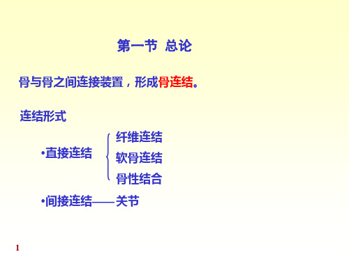 2、关节总论各论.简58页PPT