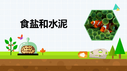 最新青岛版科学六年级上册《食盐和水泥》优质课件