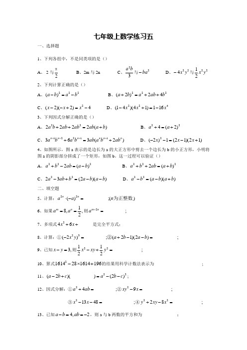 七年级上数学练习五(新复兴初级中学)