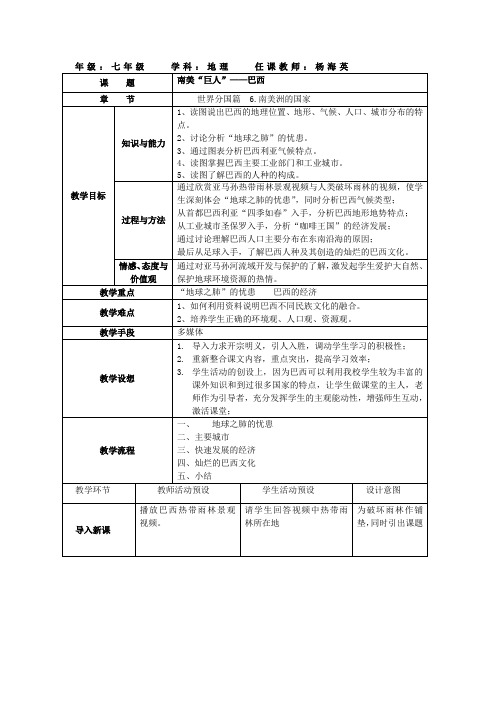 巴西教案反思