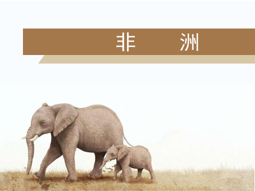 高二 区域地理 非洲 说课课件
