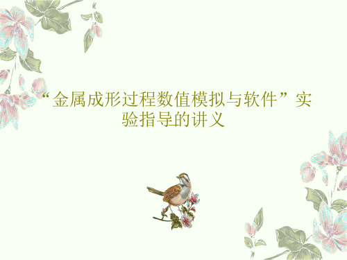 “金属成形过程数值模拟与软件”实验指导的讲义45页PPT
