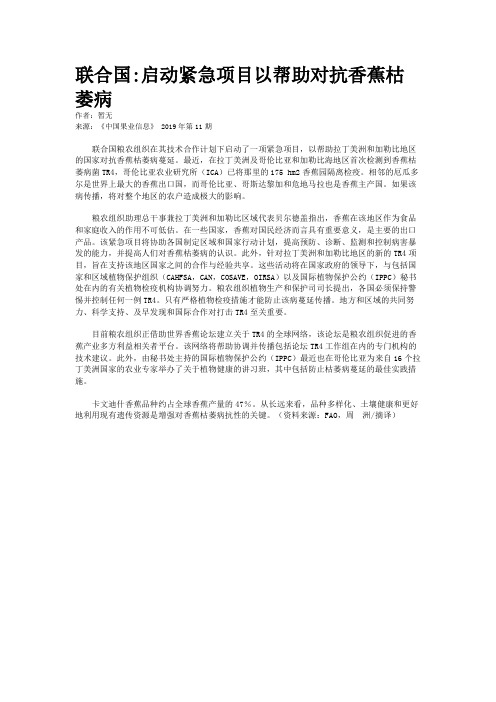 联合国:启动紧急项目以帮助对抗香蕉枯萎病