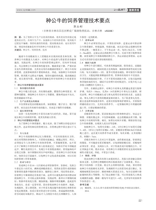 种公牛的饲养管理技术要点