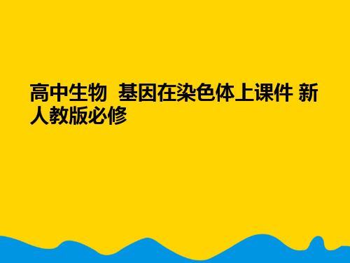 高中生物  基因在染色体上 新人教版必修完美版PPT资料