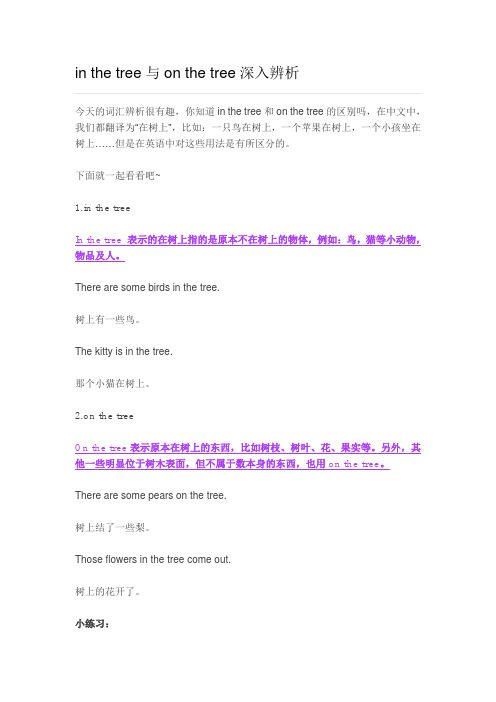 in the tree与on the tree深入辨析
