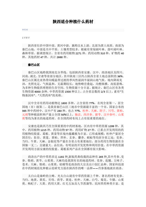 陕西适合种植什么药材