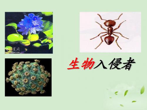 《生物入侵者》PPT课件5 (共27张PPT)