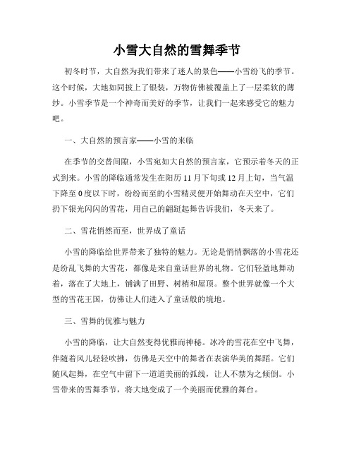 小雪大自然的雪舞季节
