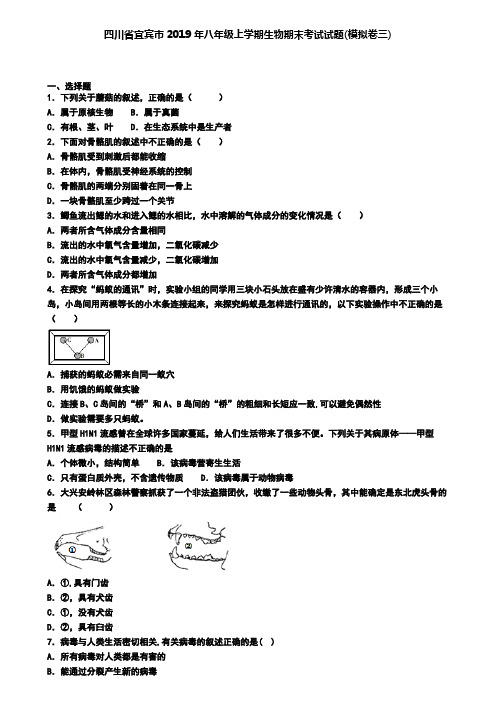 四川省宜宾市2019年八年级上学期生物期末考试试题(模拟卷三)