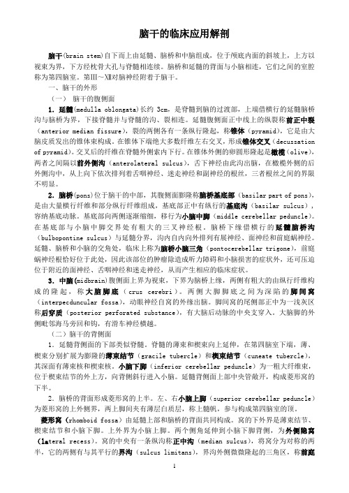 脑干的临床应用解剖