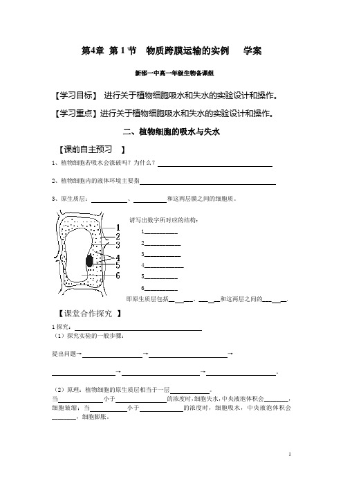 4.1物质跨膜运输的实例(学案hao)long