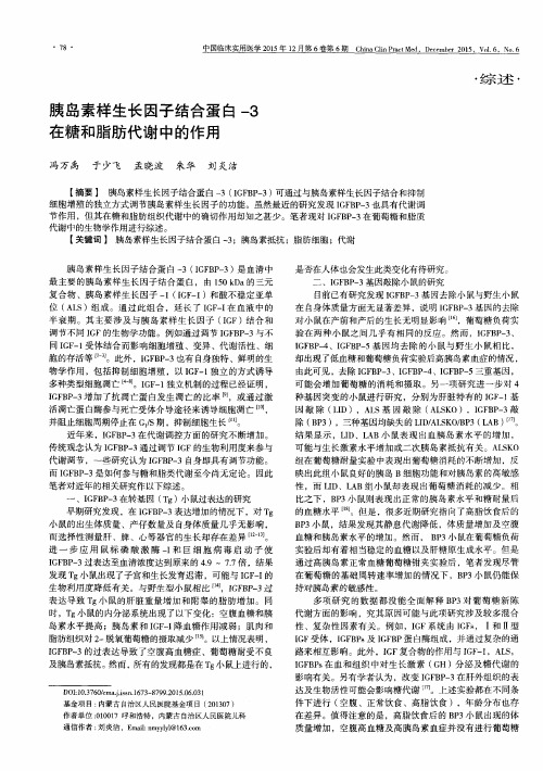 胰岛素样生长因子结合蛋白-3在糖和脂肪代谢中的作用