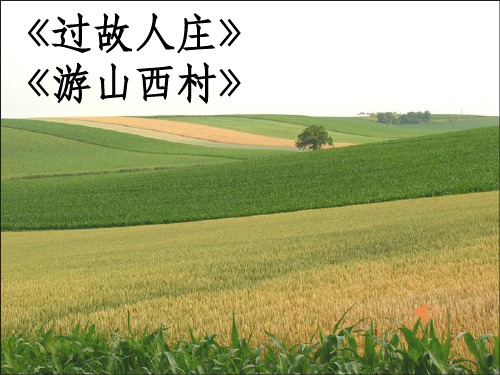 四年级语文下册第六单元作文完整ppt课件