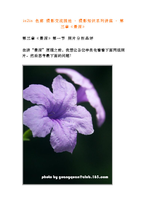 景深之照片分析品评