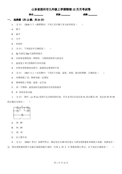 山东省滨州市九年级上学期物理12月月考试卷
