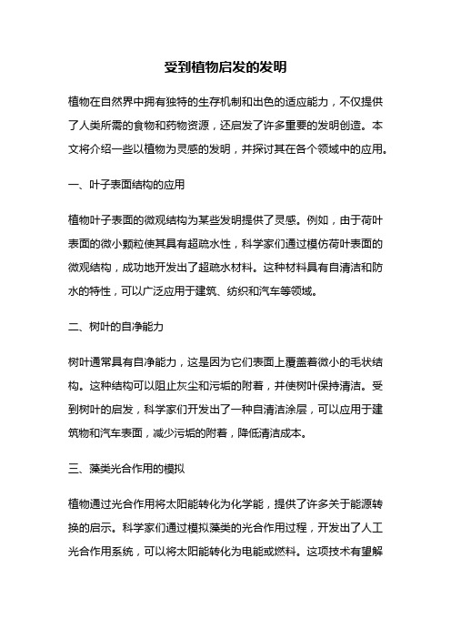 受到植物启发的发明