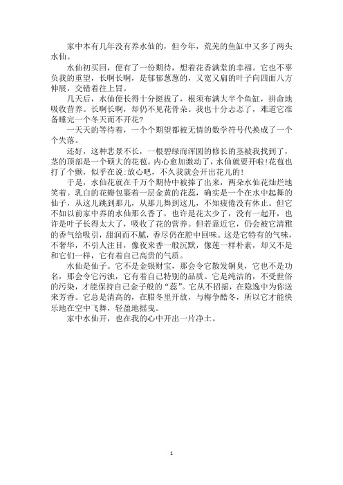最新水仙花开了作文