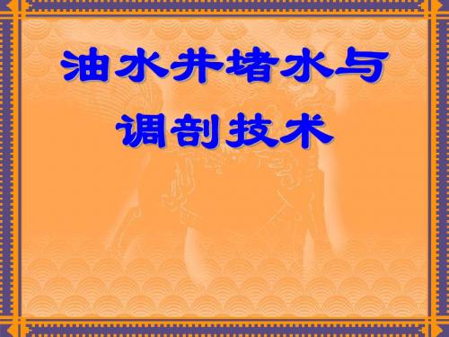 油井堵水与调配作业