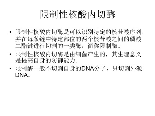 限制性核酸内切酶.