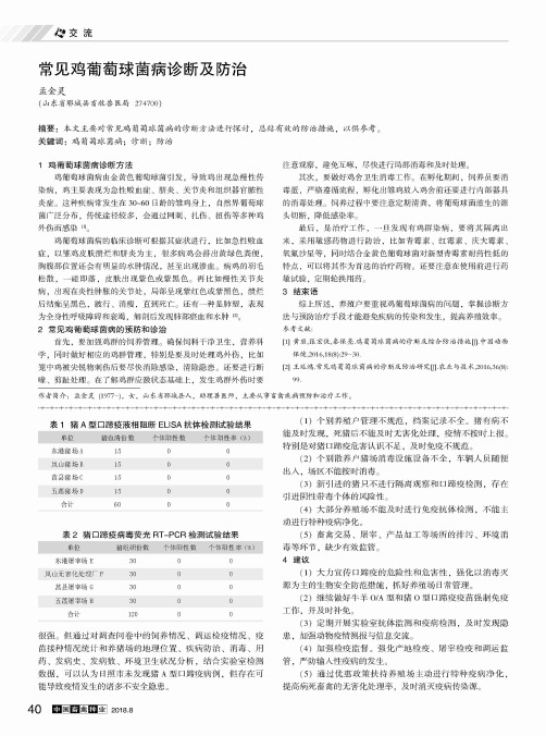 常见鸡葡萄球菌病诊断及防治