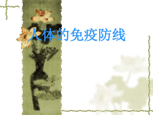 《人体的免疫防线》ppt