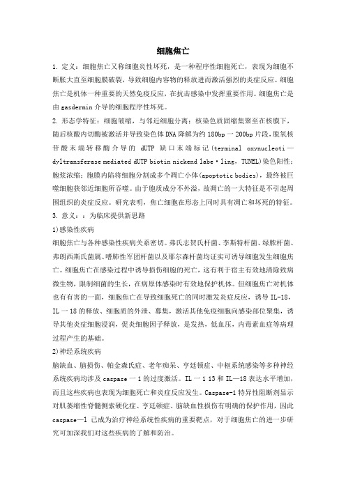 细胞焦亡