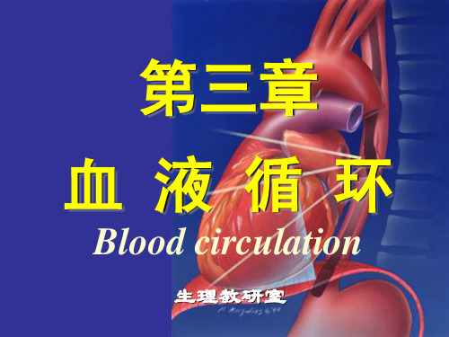 血液循环 