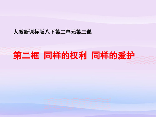 同样的爱护,同样的权利ppt优秀课件(2份) 人教版PPT课件