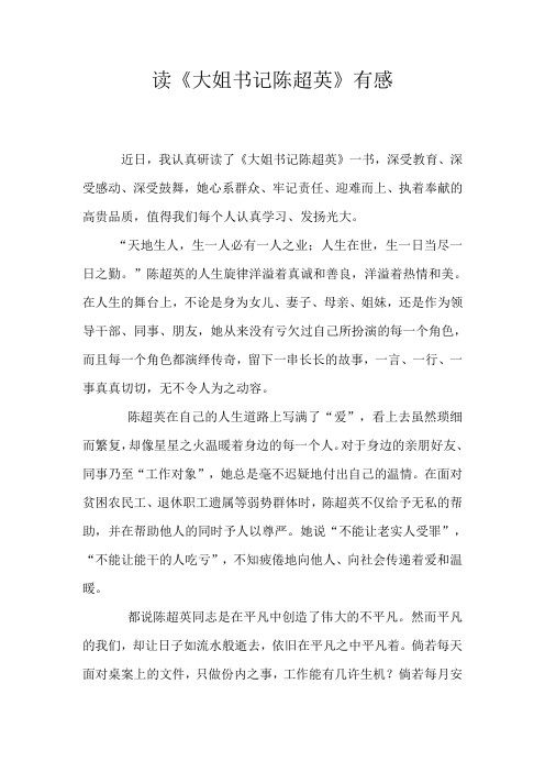 读《大姐书记陈超英》有感