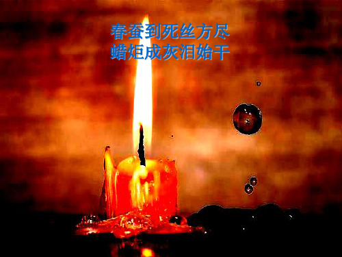 《无题·相见时难别亦难》ppt课件 