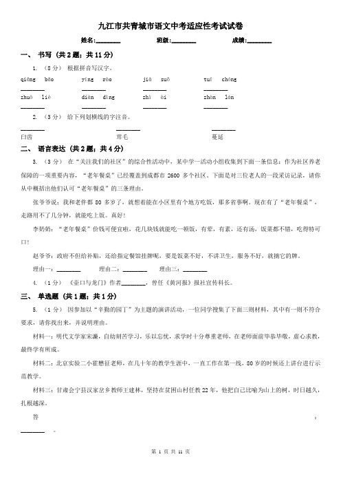 九江市共青城市语文中考适应性考试试卷