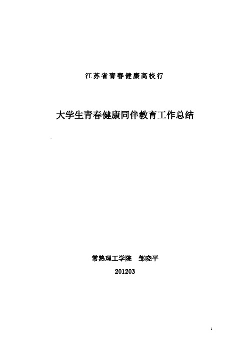 20120320常熟理工学院大学生同伴教育工作总结