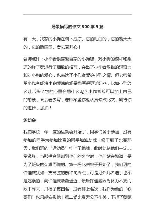 场景描写的作文500字9篇