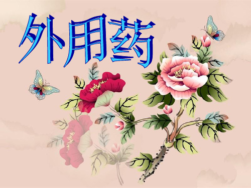 药品介绍9 外用药