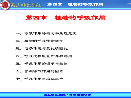 第四章 植物的呼吸作用