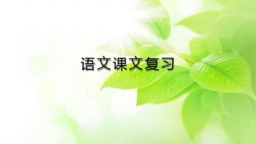 四年级上册语文精选课件-一单元人教部编版
