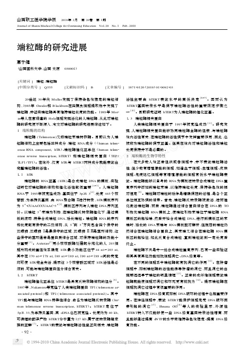 端粒酶的研究进展