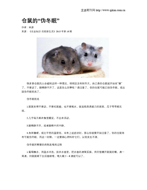仓鼠的“伪冬眠”