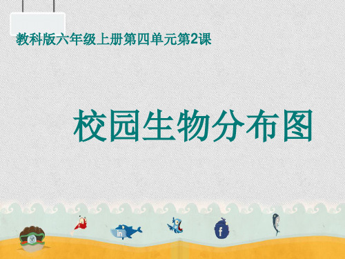 教科科学六上《4.2.校园生物分布图》 (共17张PPT)