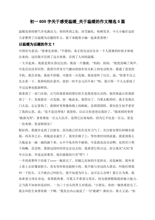 初一600字关于感受温暖_关于温暖的作文精选5篇