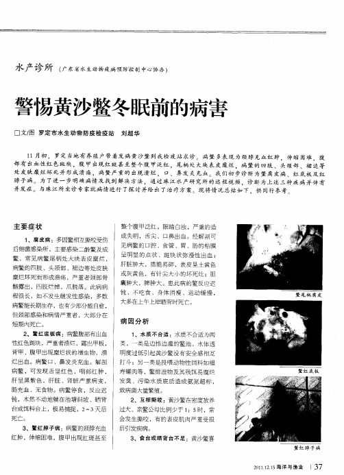 警惕黄沙鳖冬眠前的病害