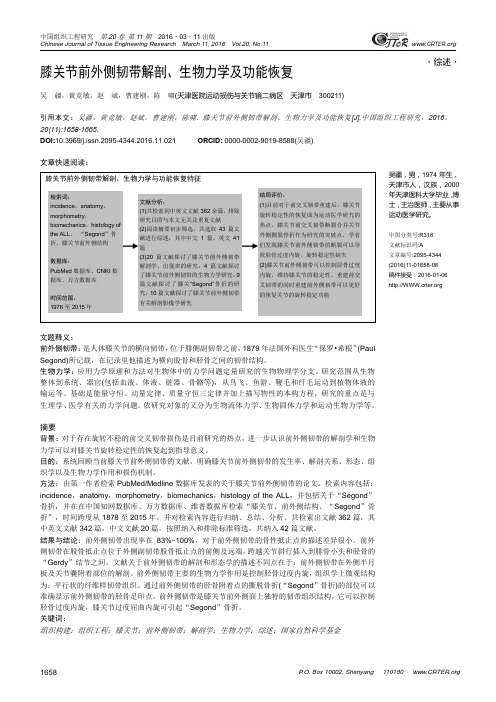 膝关节前外侧韧带解剖、生物力学及功能恢复课件